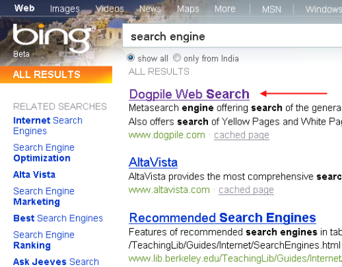 Bing Search Engine result