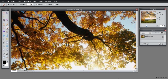 Free online image editor for digital photos