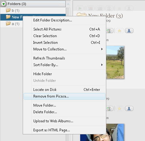 remove single folder from Picasa