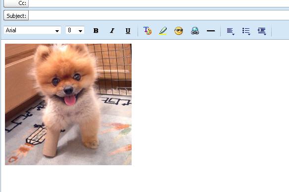 Insert images into Yahoo Mail
